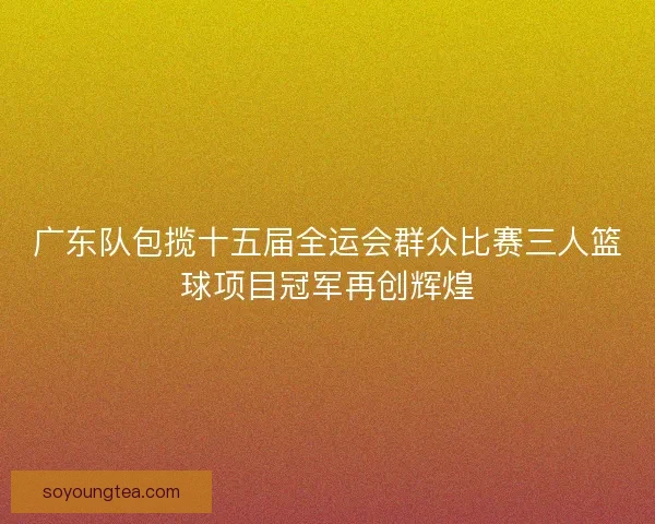 广东队包揽十五届全运会群众比赛三人篮球项目冠军再创辉煌 广东队包揽十五届全运会群众比赛三人篮球项目冠军再创辉煌